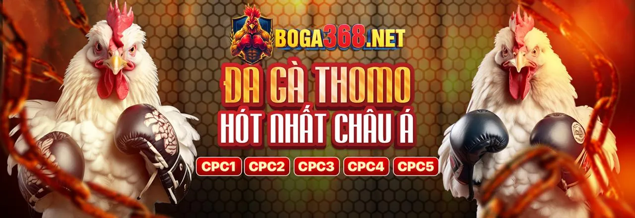 Trung tâm Trợ giúp qq188 win
